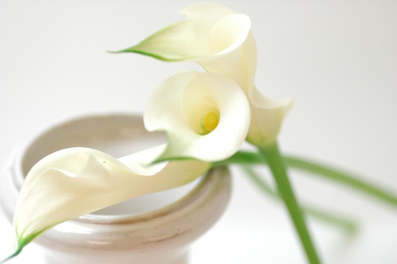 夫にだけ優しくできない!不機嫌ハラスメント(フキハラ)の心理と解決法